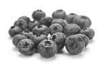 Meer spieren en minder vet door anthocyanins uit blauwe bosbessen