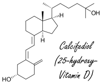 Hoe meer vitamine D er in je bloed zit, hoe fitter je bent