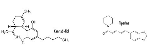 Piperine verbetert opname cannabidiol