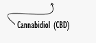 Angstig, bezorgd, tobberig en slecht slapen? Misschien helpt CBD
