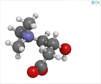 Carnitine