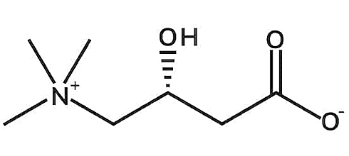Combinatie selenium en L-carnitine normaliseert overactieve schildklier