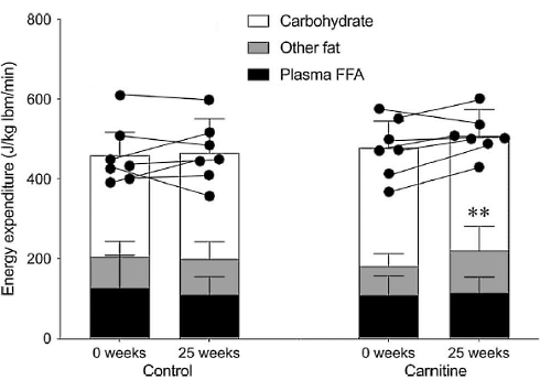 Een supplement met carnitine vergroot vetverbranding door lichaamsbeweging