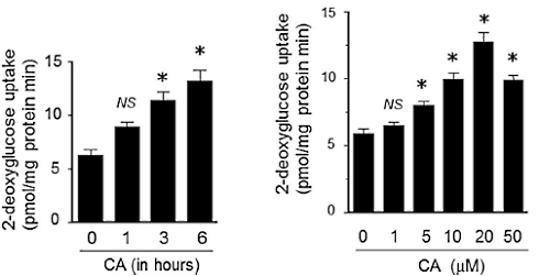 Afslankmiddel carnosic acid heeft anabole werking