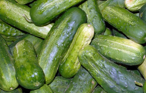 Alleen in komkommers uit je eigen moestuin zit misschien idoBR-1