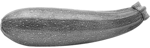 Dit is het verschil tussen biologische en reguliere courgettes