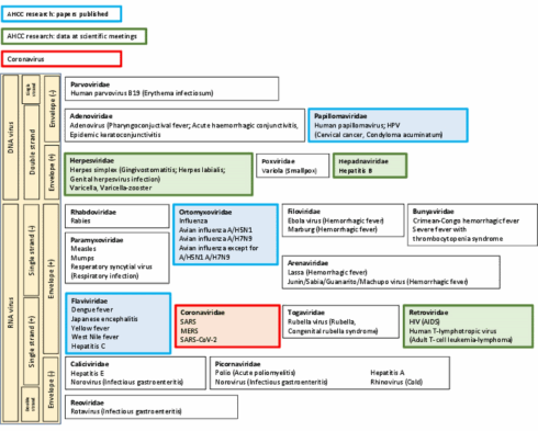 Helpt AHCC tegen het coronavirus?