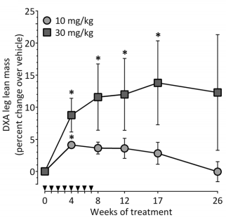 Humane trial myostatinremmer domagrozumab gestart