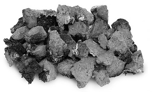 Chaga remt replicatie van SARS-CoV-2 in de longen | Dierstudie