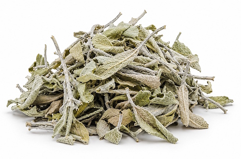 Een week geleden schreven we over de positieve effecten van salie - andere naam: Salvia officinalis - op de cognitieve vermogens van mensen met een milde vorm van dementie. Salie laat ook de hersenen van jonge mensen beter werken als die moeten presteren onder stress.
