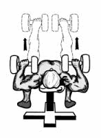 Kun je de pectorales isoleren met de dumbbell press? Niet echt...