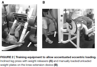 Excentrische krachttraining resulteert in meer kracht dan reguliere krachttraining
