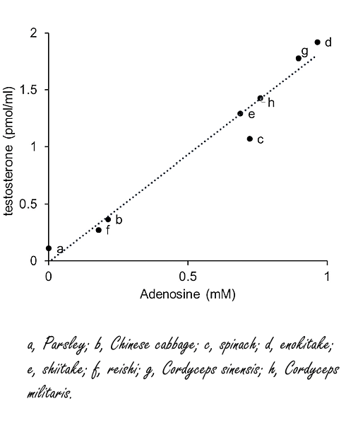 Over enokitake, testosteron en adenosine