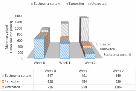 Eucheuma cottonii, een eetbare antioestrogene alg