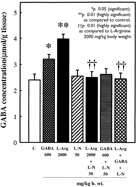 Hoe arginine de werking van GABA versterkt