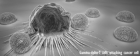 Ketodieet brengt immuunsysteem in stelling tegen griepvirus