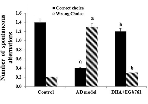 Combinatie Ginkgo en DHA beschermt misschien tegen Alzheimer | Dierstudie