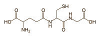 Glutathione
