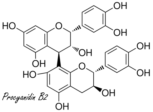 Suppletie met 2 of 3 capsules van een regulier supplement met grape seed extract kan bij milde hypertensie de systolische bloeddruk verlagen met 8-11 punten. Met een beetje geluk is je bloeddruk dan weer gezond. Dat blijkt uit een meta-analyse die in 2016 verscheen in Medicine.