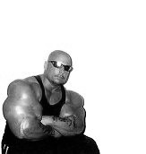 Syntholbodybuilders 