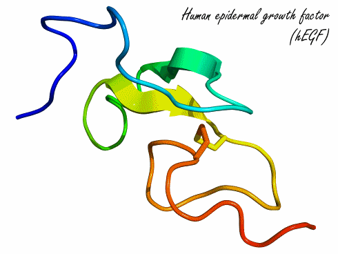 Igtropin zonder IGF-1