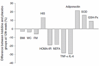 Suppletie met L-histidine breekt vetmassa af