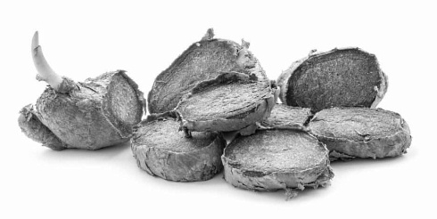 Kaempferia parviflora, een supplement voor je 6-pack