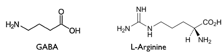 Hoe arginine de werking van GABA versterkt