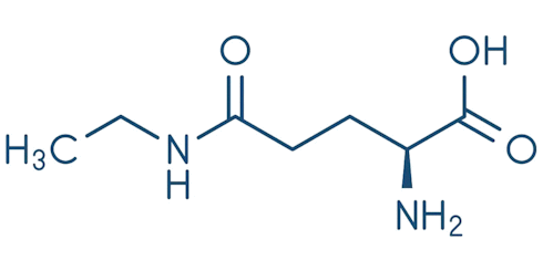 L-Theanine, de volledige stressbuster