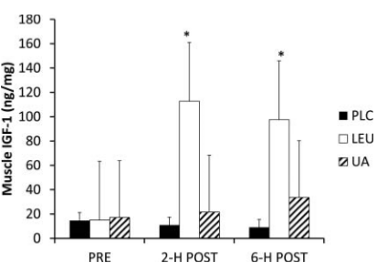 Leucine na krachttraining verhoogt concentratie IGF-1 in spiercel