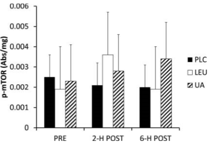 Leucine na krachttraining verhoogt concentratie IGF-1 in spiercel