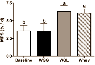 Leucinesuppletie maakt tarwe-eiwit net zo anabool als whey