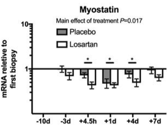 Anabole werking van bloeddrukverlager losartan gevolg van remmen myostatine