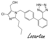 Anabole werking van bloeddrukverlager losartan gevolg van remmen myostatine