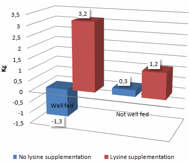 Lysinesuppletie vergroot spierkracht