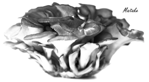 Eet paddenstoelen en verminder je kans op prostaatkanker