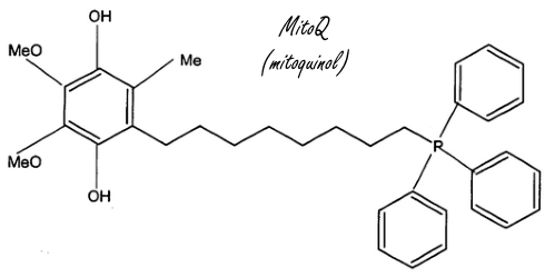 Verbeterde Q10-variant MitoQ verjongt bloedvaten