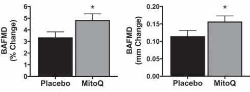 Verbeterde Q10-variant MitoQ verjongt bloedvaten