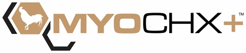 Shake met beef protein of hydrolyzed chicken protein na je workout werkt net zo goed als whey