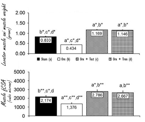 Waarom creatine, leucine of HMB een anabolenkuur misschien effectiever maken