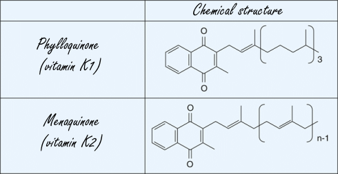 Meer vitamine K2, meer testosteron