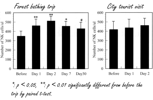 Meer bomen in je omgeving, meer Natural Killer Cells