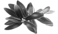 Olive Leaf Extract reduceert buikvet