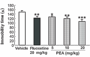 Palmitoylethanolamide, (misschien) een antidepressivum met (vrijwel zeker) nauwelijks bijwerkingen