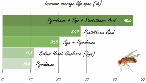 De levensverlengende eigenschappen van vitamine B5