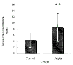 Pfaffia paniculata is testosteronbooster