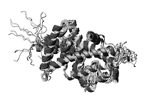 PPAR-gamma