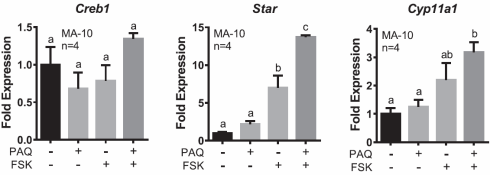 Is penta-acetylquercetine een testosteronbooster?