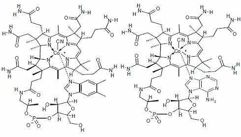 Algen en paddenstoelen geen volwaardig alternatief voor vitamine B12-supplementen