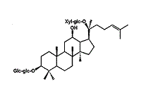 Ginseng verlaagt glucosespiegel
